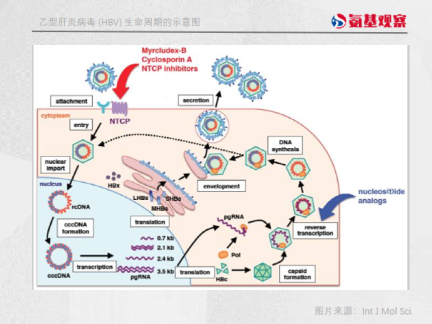 微信圖片_20220707140950.png